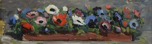 Anemones — William Crosbie