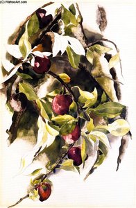 Plums — Charles Demuth