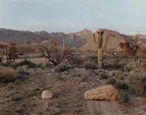 Near Tuscon, Arizona — Joel Sternfeld