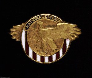 National Defense Badge Of Service Pin — Anthony De Francisci