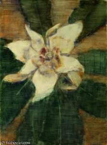Magnolia Grandiflora — Christian Rohlfs