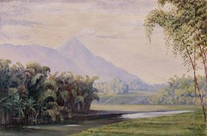 Java Near Malang, Imeeroc — Marianne North