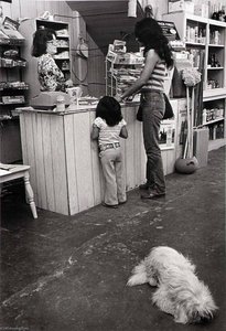 Pic N Save Food Market, corner of 18th and Market, Galveston, Texas, from The Corner Stores of Galveston, Galveston County Cultural Arts Council