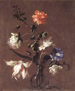 Theee Caper Flower,a Carnation,a Bindweed,and A Tulip — Mario Dei Fiori