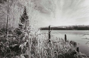 Early Winter Landscape, Wisconsin