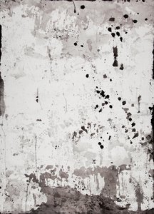 Salmos — Paula Klien