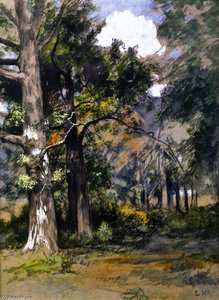 Interior Of Woods, N. Queens — Charles Henry Miller
