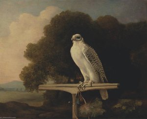 Greenland Falcon — George Stubbs, Romanticism