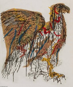 Hawk
