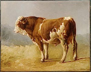 Taureau