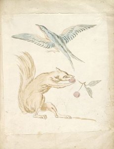 Squirrel Eating Cherries And Bird With Wings Extended — Jean-baptiste Oudry