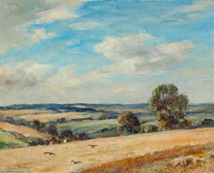 Cornfield — Owen Bowen