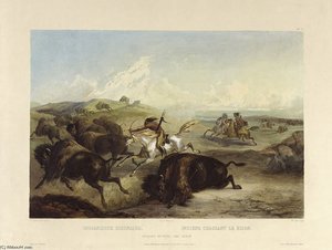 Tableau 31 Indians Hunting The Bison — Karl Bodmer
