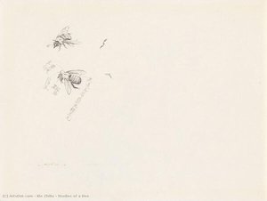 Studies Of A Bee — Xie Zhiliu