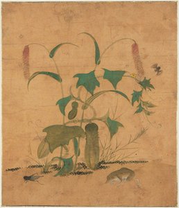 Grass And Insects — Shin Saimdang, Korean Landscape Painting