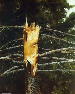 Torn Spruce — Jamie Wyeth