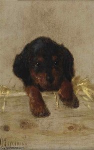 A Dachshund Puppy — Otto Eerelman