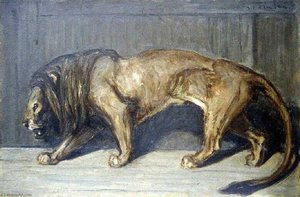 Lion en cage