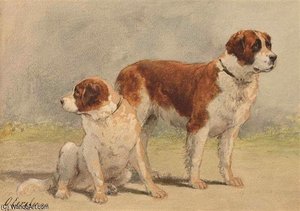 Two Saint Bernard Dogs — Otto Eerelman