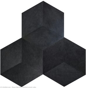 Untitled(vacant Cube) — Pyoun Dae Sik