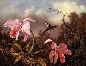 Orchids And Hummingbird — Martin Johnson Heade