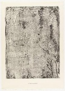 Mottled Text Ii (texte Moucheté Ii) From The Portfolio Sites And Paths (sites Et Chaussées) From Phenomena (les Phénomènes) — Jean Philippe Arthur Dubuffet