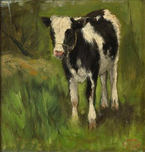 Calf, Spotted Black And White, Geo Poggenbeek, C. 1873 - C. 1903 — Geo Poggenbeek
