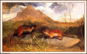 Mexican Marmot Squirrel — John James Audubon