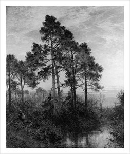 Evening In A Surrey Pine Wood — R.a Benjamin Williams Leader