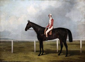 A Racehorse With Jockey Up, On A Racecourse — John Dalby