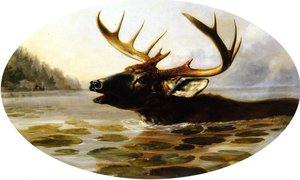 Swimming Buck — Arthur Fitzwilliam Tait