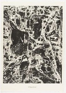 Soil organs (Orgues du sol) from the portfolio Waters, Stones, Sand (Eaux, Pierres, Sable) from Phenomena (Les Phénomènes)