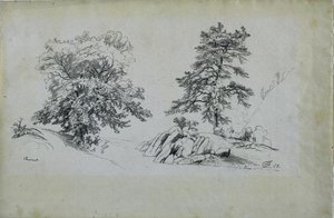 Chestnut And Pine — David Johnson