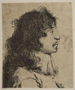 Bust Of A Young Man In Profile — Jan Andrea Lievens Jan Lievens