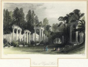 Ruins at virginia water