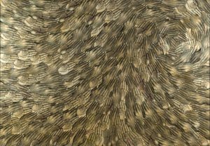Untitled — Ana Lorena Sánchez Mondragón