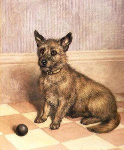 Waiting To Play, A Cairn Terrier With A Ball — Frank Paton
