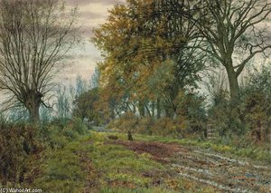 Rabbits On A Country Path