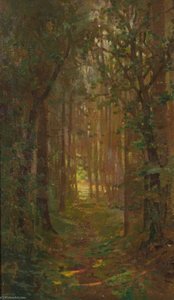 Woodland Path — Benjamin Haughton