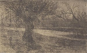 Pollard Willow — John Ottis Adams