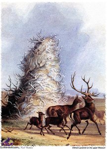 Sharper Native Americans (26) — Karl Bodmer