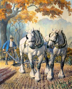 A Team of Horses