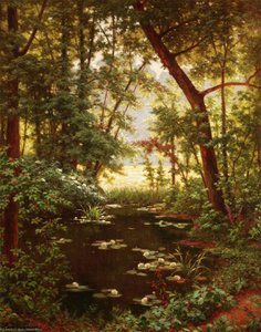 Les Nenuphar — Henri Biva
