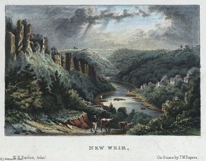 New Weir — William Henry Bartlett