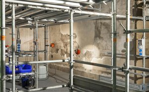 Sala Delle Asse, Detail Of Monochrome During The Restoration (2012-2015) — Leonardo Da Vinci, Renaissance Early Renaissance