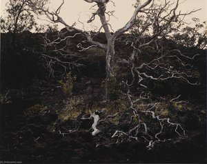 Gnarled Tree Lava Field (Ka'u Desert, Hawaii)