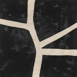Fragmented Ossuary: A Monolithic Study Of Bone And Obsidian Shadows — Laurent Fabre, Neo-abstract Art