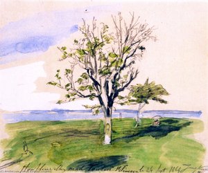 Tree At The Seine Estuary — Johan Barthold Jongkind