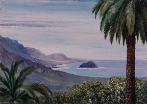 Near Echod, Teneriffe — Marianne North, Victorian Botanical