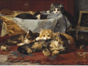 Kittens In A Basket